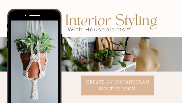 Interior Styling With Houseplants D R Snell Nursery