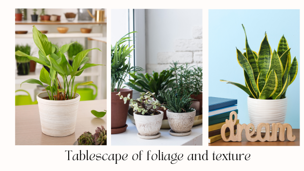 Interior Styling With Houseplants D R Snell Nursery